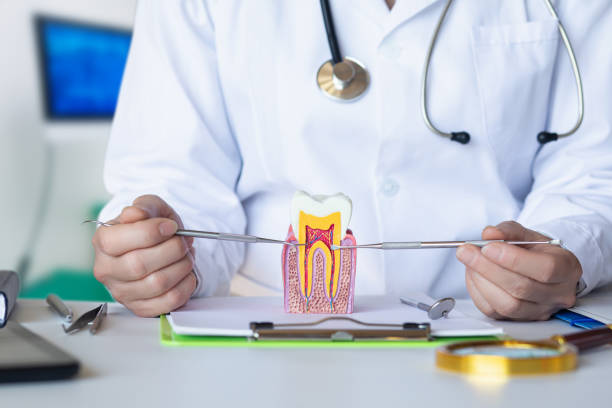 Best Emergency Treatment for Toothache in Glen Ellen, CA